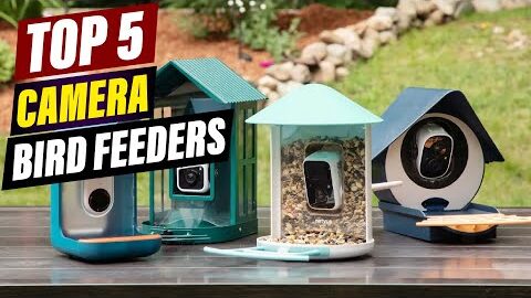 Top 5 Smart Bird Feeders with Cameras: Reviews & Comparisons