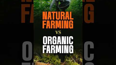 Organic Farming vs. Natural Farming: What’s the Difference? 🌱#gogreen #backtobasics