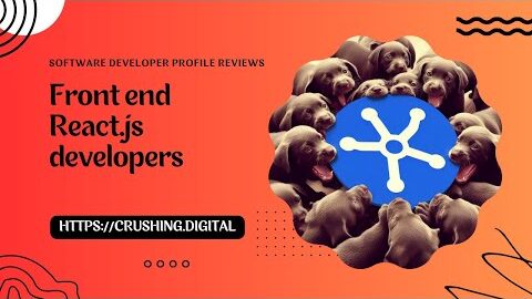 Software Developer Profile Reviews – React.js