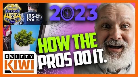 The Cheapest Tax Filing Software 2024 | Tax Software Reviews 2024 | How to File Taxes 🔶 E-TAX S1•E1
