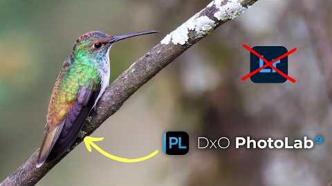 DxO PhotoLab 9 Review | Step Aside Lightroom
