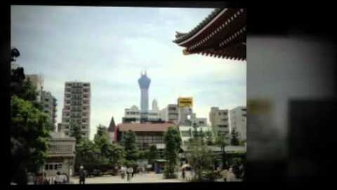 business-software-reviews.com