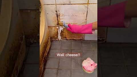 if I have a dirty bathroom, I have everything I need💦 #cleaning #bathroomcleaning