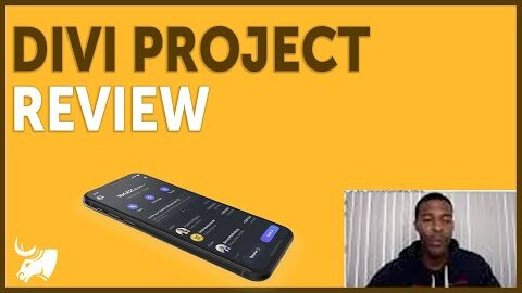Divi Project Review | Diversify Our Porfolio