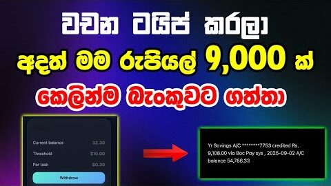 මම අදත් රුපියල් 9,000 ක් හෙව්වා –  online job Sinhala