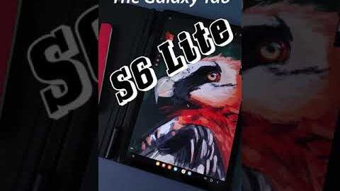 60sec review of Galaxy Tab S6 Lite – great for digital art beginners