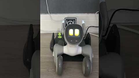 Meet my new AI PetBot: LOONA! 🐶