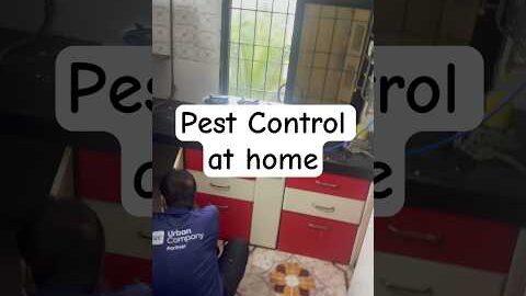 Called Urban company for doing pest control at home for cockroaches and ants.