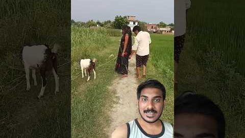 Transform Your Home with These Cool Tools! 🔧 #shorts #gadgets