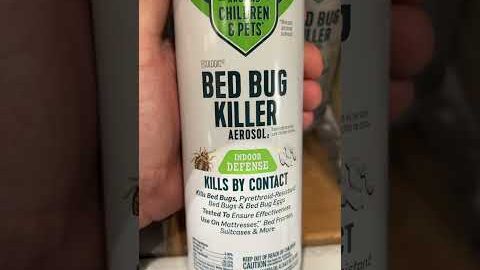 Cheap Bed Bug Spray at Lowes