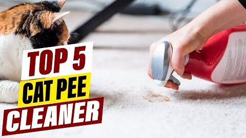 Top 5 Cat Pee Cleaners: Reviews & Comparisons
