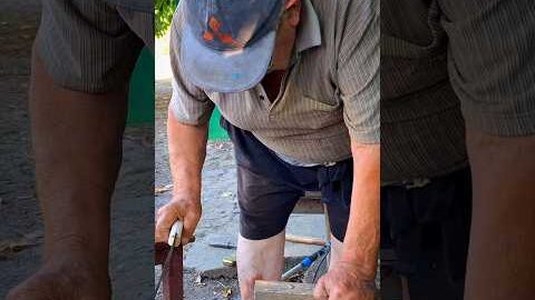 Best Hand Saw for Woodworking #handsaw #woodworking #diy #woodworkingtools #carpentry