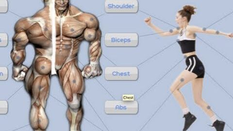 SEXY Android Workout App! – Jefit Review Bodybuilding, Weight Training, Fitness – AppJudgment