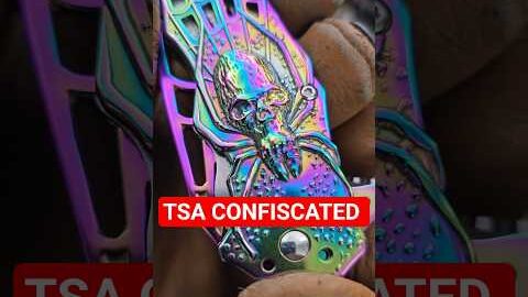 I Bought 10 POUNDS Of TSA Confiscated Knives! People Actually Carry These!?