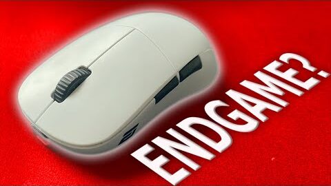 Endgame Gear XM2We Review & Shape Comparisons
