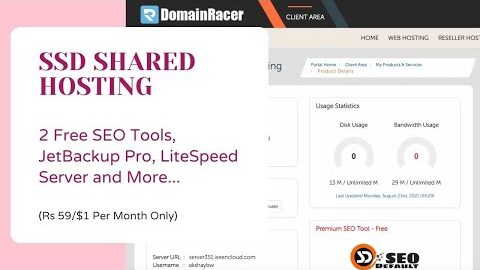 Get Free SEO Tool with this LiteSpeed SSD Hosting – Domain Racer Web Hosting Review