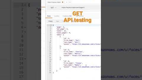 API testing with TechieQA