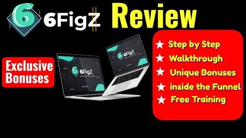 6 FigZ Review business in a box software