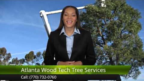 Atlanta Wood Tech Tree Services Review | Authentic Online Reviews by MSFPS LLC