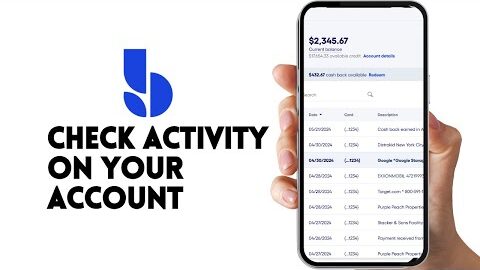 HOW TO CHECK ACTIVITY ON YOUR BLUEVINE ACCOUNT