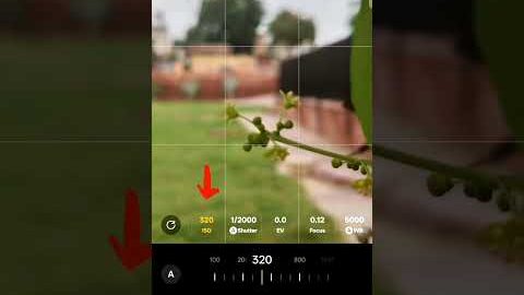 Creative Micro Photography🌿…subscribe for more #nature #editing #photography #tutorial  #viral