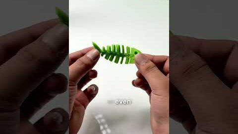 This Cheapest 3D Printer Can Print Crazy Objects!