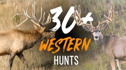 30+ Bow & Rifle Hunts in 20 Minutes! Eastmans Hunting Journals