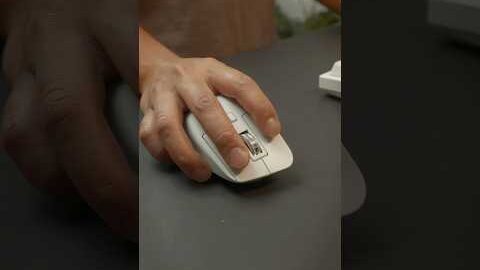 The best mouse for productivity?