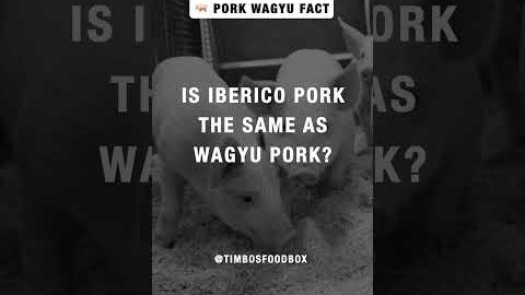 Why Iberico Pork Is Not the Same as Wagyu Pork?