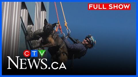Specialized K9 training in Manitoba | CTV News Winnipeg at Six for October 9, 2025