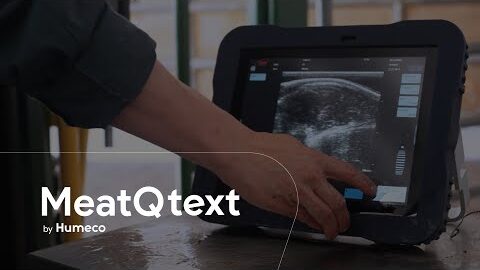 MeatQText, the meat quality evaluation software for modern livestock farming