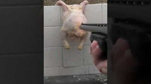 WHY YOU DON’T USE 12 GAUGE SLUGS IN HOME DEFENSE!