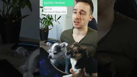 Software Developer Before Sprint Review