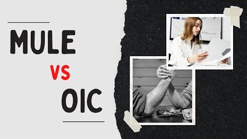 Mulesoft vs OIC | Compare Integration Tools | Differences | Metrics #mulesoft #oic #integration