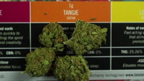 M-Box Review – Monthly Cannabis Subscription Service