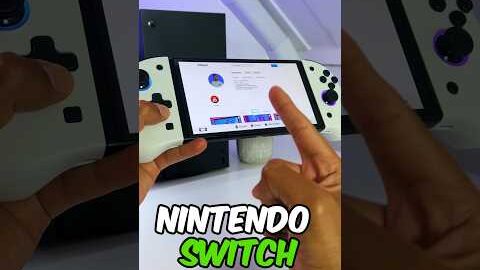 The Nintendo Switch Internet Browser 🛜