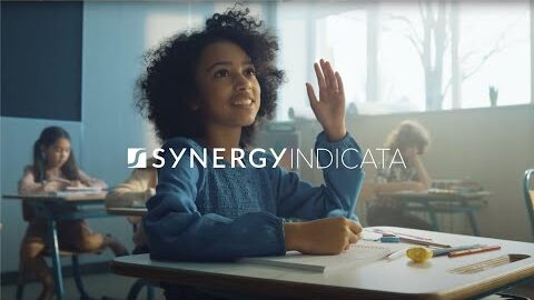Synergy Indicata: Monitoring and Evaluation Software for Organizations