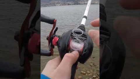 How To Get Rid Of A Backlash Quickly And Effectively #Shorts
