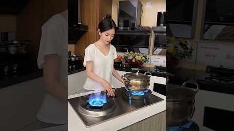 Amazing Stove Reviews Part  Kitchen Appliances Gas Stove #shorts #shortfeed #High-fire stove