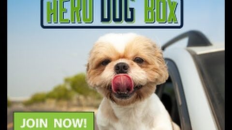Hero Dog Box July 2014 Review + Discount  – Dog Subscription Box