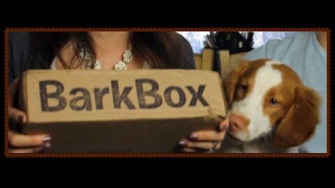Bark Box –  Subscription Service for Dogs ($5 off Code!) * Jen Luv’s Reviews *