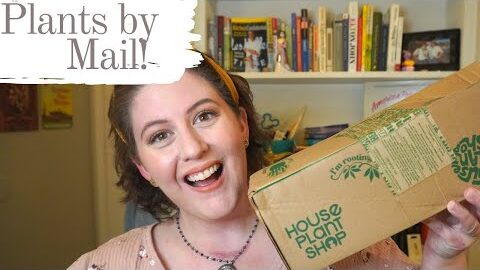 HOUSE PLANT SHOP UNBOXING | Pet Friendly Inexpensive House Plant Subscription Box Review