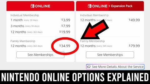 Nintendo Switch Online: Individual vs. Family & Standard vs. Expansion Pack Explained! 🎮💸
