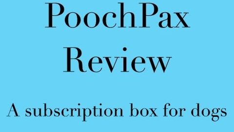 PoochPax Review – A New Subscription Box for Dogs