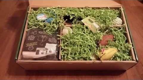PurrPacks | Your Subscription Box Reviews |
