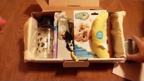 Paws And Play – August | Your Subscription Box Reviews |