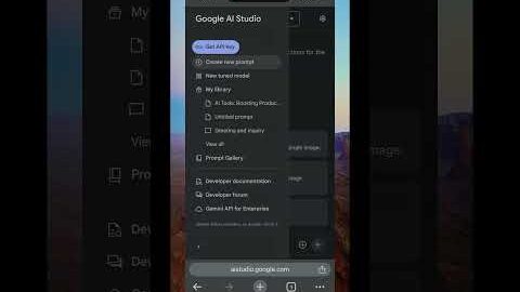 Google AI Studio